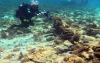 Shipwrecks linked to the ‘golden age of piracy’ discovered in the Bahamas