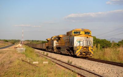 Improved transport opens Mozambique’s forests to new pressures
